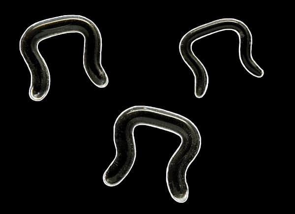 Gorilla Glass Septum Retainer (18 gauge - 1/2 inch)