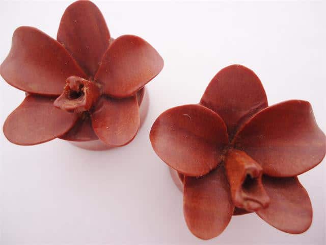 Sabo Wood Orchid Flower Plugs (8 gauge - 1 inch)