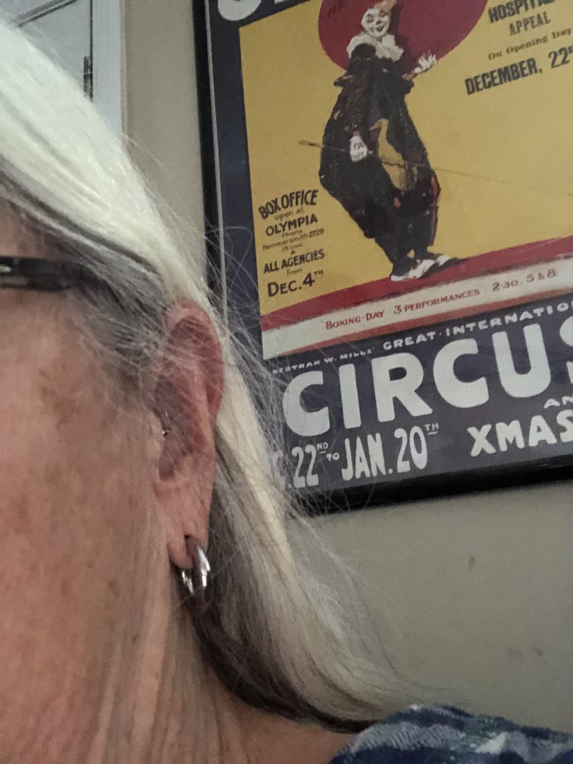 Stainless Steel Segment rings (16 gauge - 2 gauge)