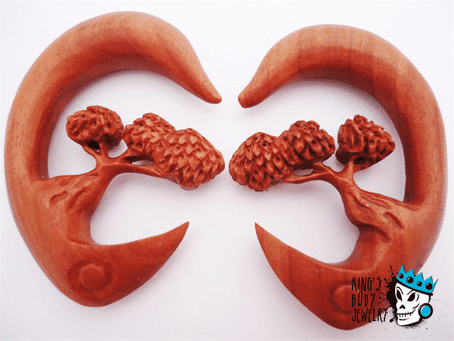 Red Saba Wood Bonsai Tree Hooks (8 gauge - 1/2 inch)